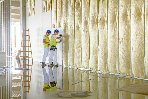 Best Types of Insulation in Woodlake, VA